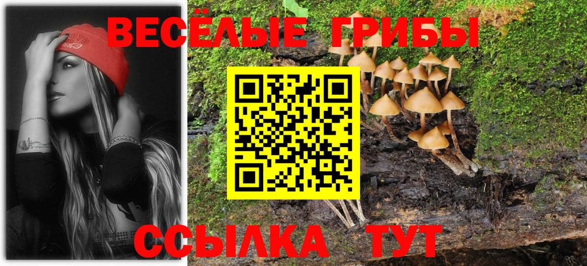 Псилоцибиновые грибы MAGIC MUSHROOMS Дивногорск