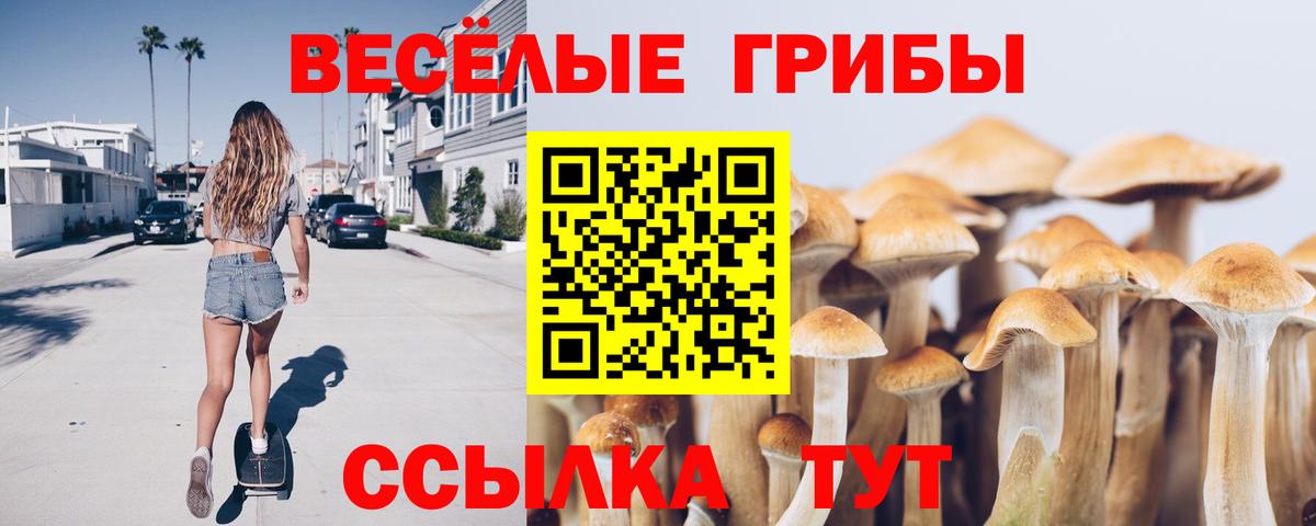 Галлюциногенные грибы прущие грибы  Галлюциногенные грибы Cubensis  Вход с VPN  Дивногорск 
